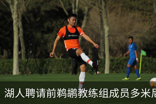 湖人聘请前鹈鹕教练组成员多米尼克·萨曼吉担任篮球运营分析师